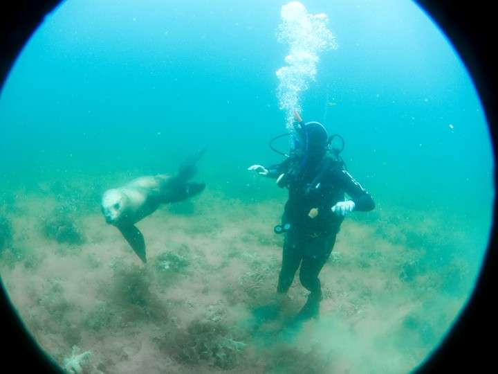 Actividades acuáticas en Puerto Madryn