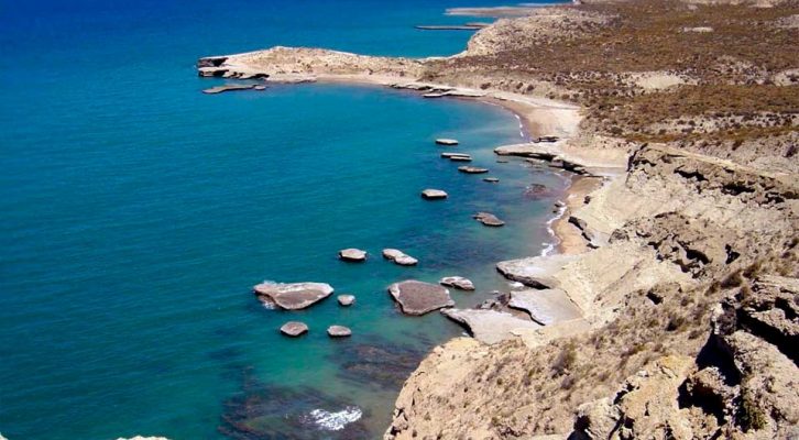Puerto Madryn: donde habitan las especies marinas de la Patagonia