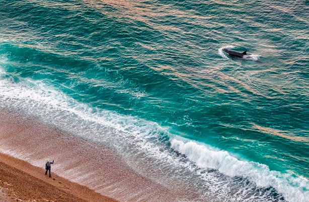 Ballenas Chubut